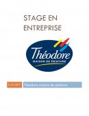 Rapport de stage, Théodore maison de peinture