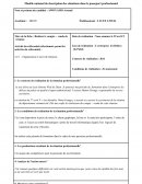 Modèle national de description des situations dans le passeport professionnel