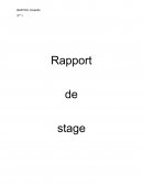 Rapport de stage Gifi