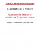 Quels sont les effets de la musique sur l’organisme humain ?