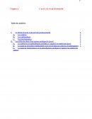 L'accès à la vie professionnelle