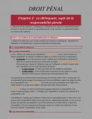 Cours droit pénal 2019