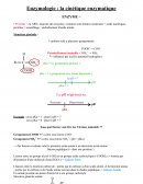 Enzymologie : la cinétique enzymétique