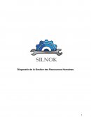 Diagnostic Silnok