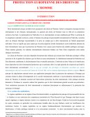 Cours Protection des droits de l'homme en Europe