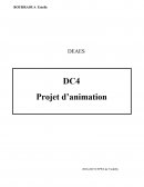 Dc4 animation