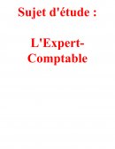 L'expert comptable