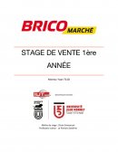 Rapport de stage Bricomarché