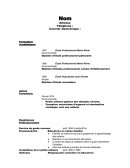 Curriculum vitae