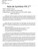 Note de synthèse TPE première