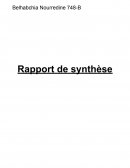 RAPPORT DE SYNTHESE