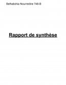 RAPPORT DE SYNTHESE
