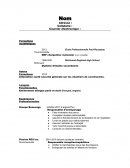 Curriculum vitae