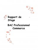 RAPPORT DE STAGE BAC PRO COMMERCE