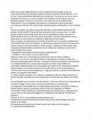DEME Rapport stage long
