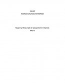 FIN6307 - RESTRUCTURATION D’ENTREPRISE