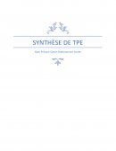 Exemple synthèse TPE