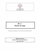 DC2 RAPPORT DE STAGE CTR