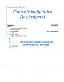 Contrôle budgétaire