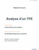 Rapport de cours : Analyse d’un TFE