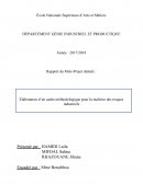 Elaboration d’un cadre méthodologique pour la maîtrise des risques industriels