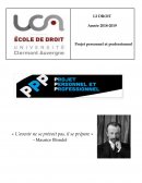 Exemple de Projet Personnel et Professionnel