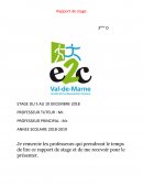 Rapport de stage PIJ