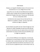 Rapport de stage en milieu hospitalier