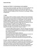 Comment rédiger le travail final du TPE