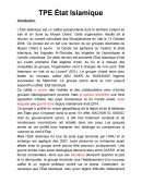 TPE Etat Islamique attractivité