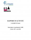 Rapport d'activité