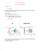 Vision et images cours de première