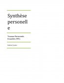 Synthèse personnelle