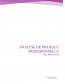 Analyse de pratique professionnelle : médiation animale