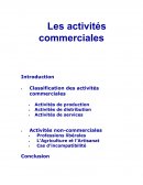 Activités commerciales