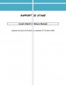 Rapport de stage 3ème