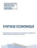 SYNTHESE ECONOMIQUE RSE