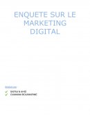 Marketing digital