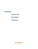 Audit comptable et financier