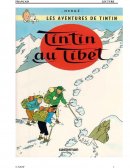 Tintin au Tibet - questionnaire