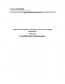 Rapport logique combinatoire