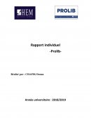 Rapport individuel