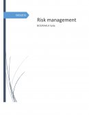 Risk management