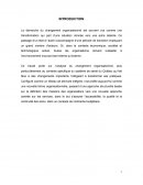 LE CHANGEMENT ORGANISATIONNEL