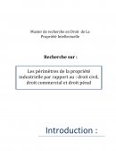 Les périmètres de la propriété industrielle par rapport au : droit civil, droit commercial et droit pénal