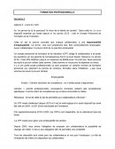 Formation professsionnelle