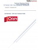 Rapport ORPI SUD TRANSACTIONS