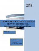 Rapport de stage à la société nationale des transports et de la logistique