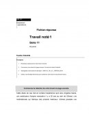 ADM 1013 comportement organisationnel