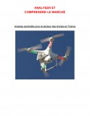 Analyse sectorielle pour le secteur des drones en France